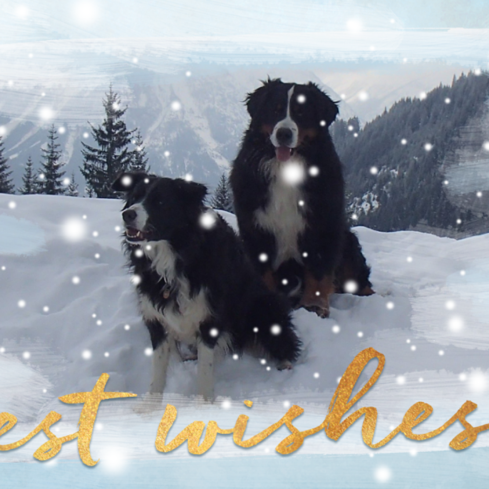 Donza en Oscar op wintervakantie