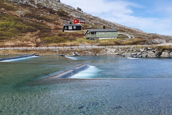 Boven op de Trollstigen, een spectaculaire bergweg in Noorwegen.